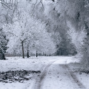 Winter 05